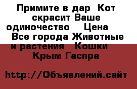 Примите в дар. Кот скрасит Ваше одиночество. › Цена ­ 0 - Все города Животные и растения » Кошки   . Крым,Гаспра